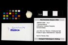 Foto (Objekt + Etikett) von ? Goniodromites sp.  (NHMW-GEO-1990-0041-2988)